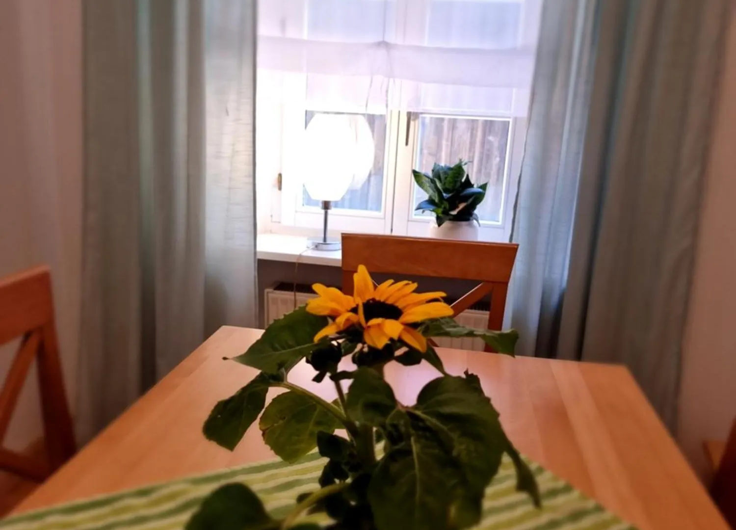 Ferienwohnung Boehm Segnitz